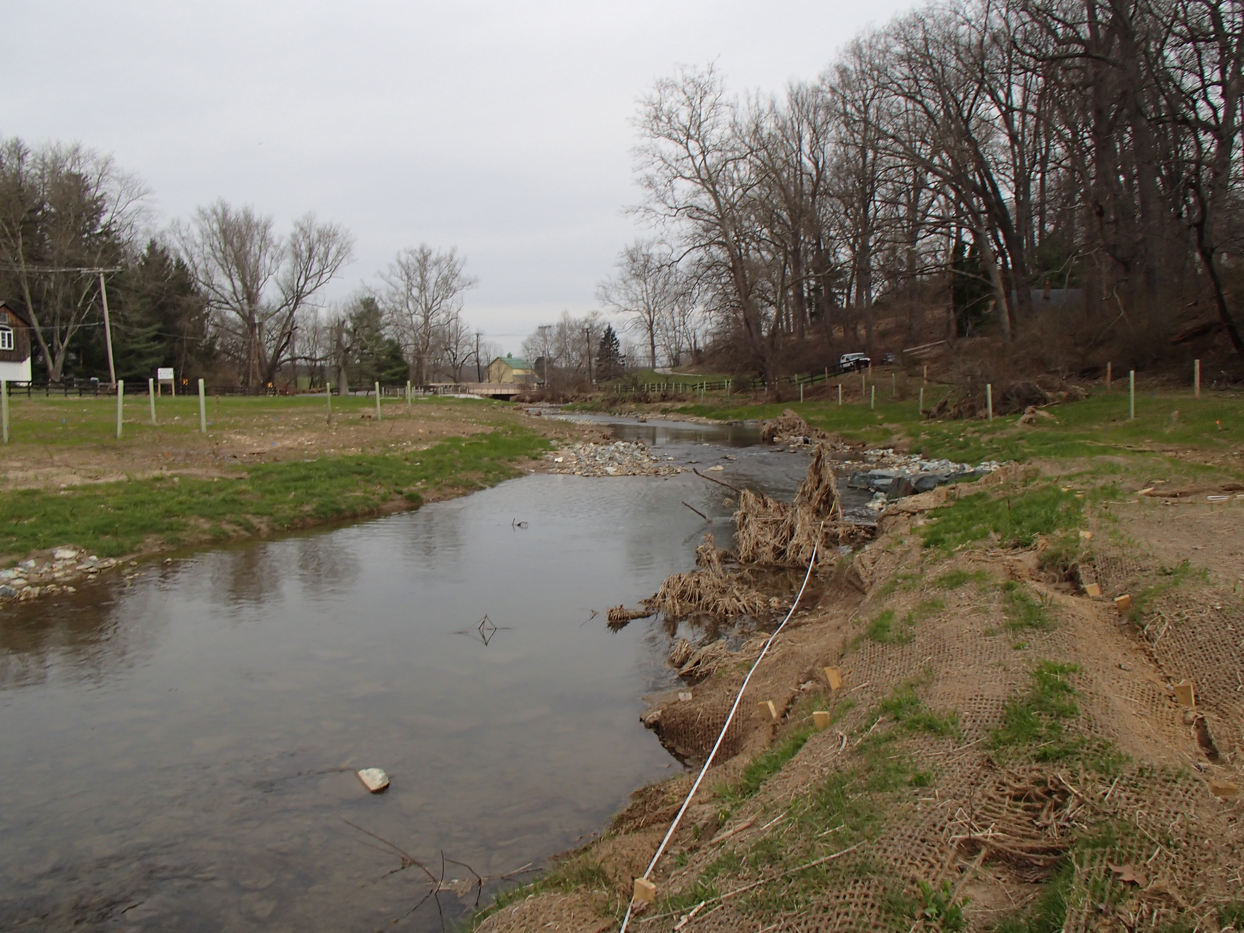 Field photo showing stream conditions at site LOGU-301-R-2016_Midpoint looking upstream